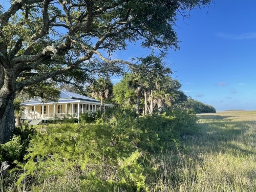 The Edisto Island marsh beside Beulah